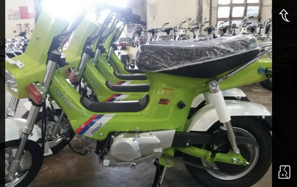 Xe máy Việt Thái CHALY S 50CC